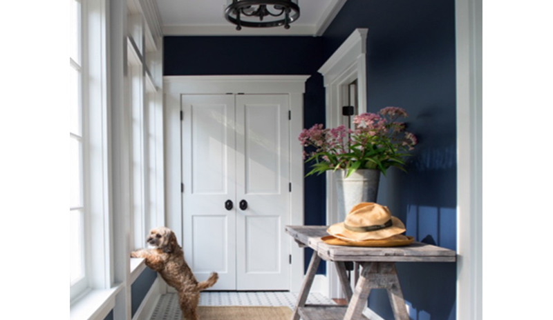 A dark blue-painted hallway with white trim and pendant lighting fixture.