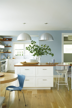 A contemporary kitchen with light blue-painted walls and white cabinets.