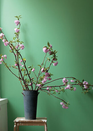 Un pasillo pintado de verde profundo con flores de flores rosadas en un jarrón rústico