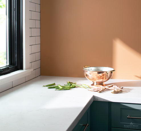 Kitchen corner with white countertops and wall painted in Potters Clay 1221.
