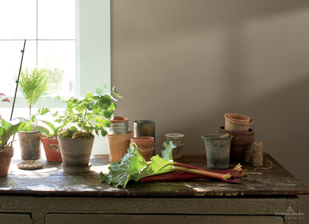 Plantas en macetas delante de una ventana y paredes pintadas en Kingsport Grey HC-86.