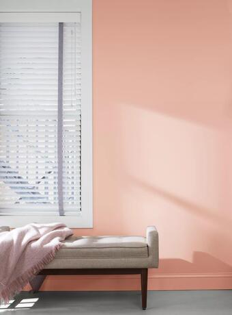 Cream bench in front of a Conch Shell pink-painted wall and window trim painted in White Heron.