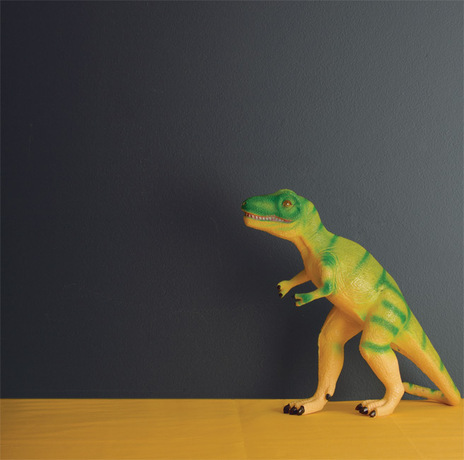 A deeply hued wall frames a toy dinosaur.