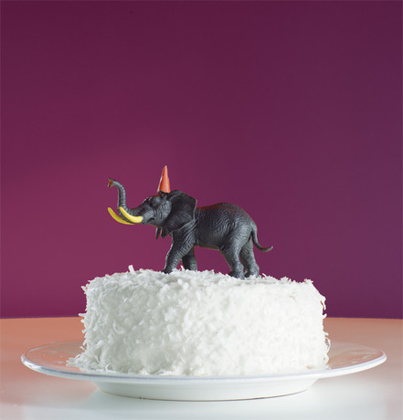 A plum-colored wall frames a festive coconut cake.