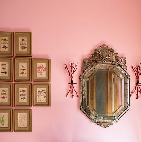 Una pared pintada con Delicate Rose que presenta una colección de pinturas de flores y peces