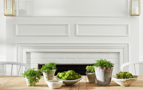 Dining room with white-painted walls featuring a large wooden table with potted plants and chairs.